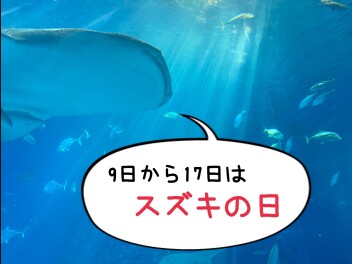 ９日（土）から１７日（日）はスズキの日☆